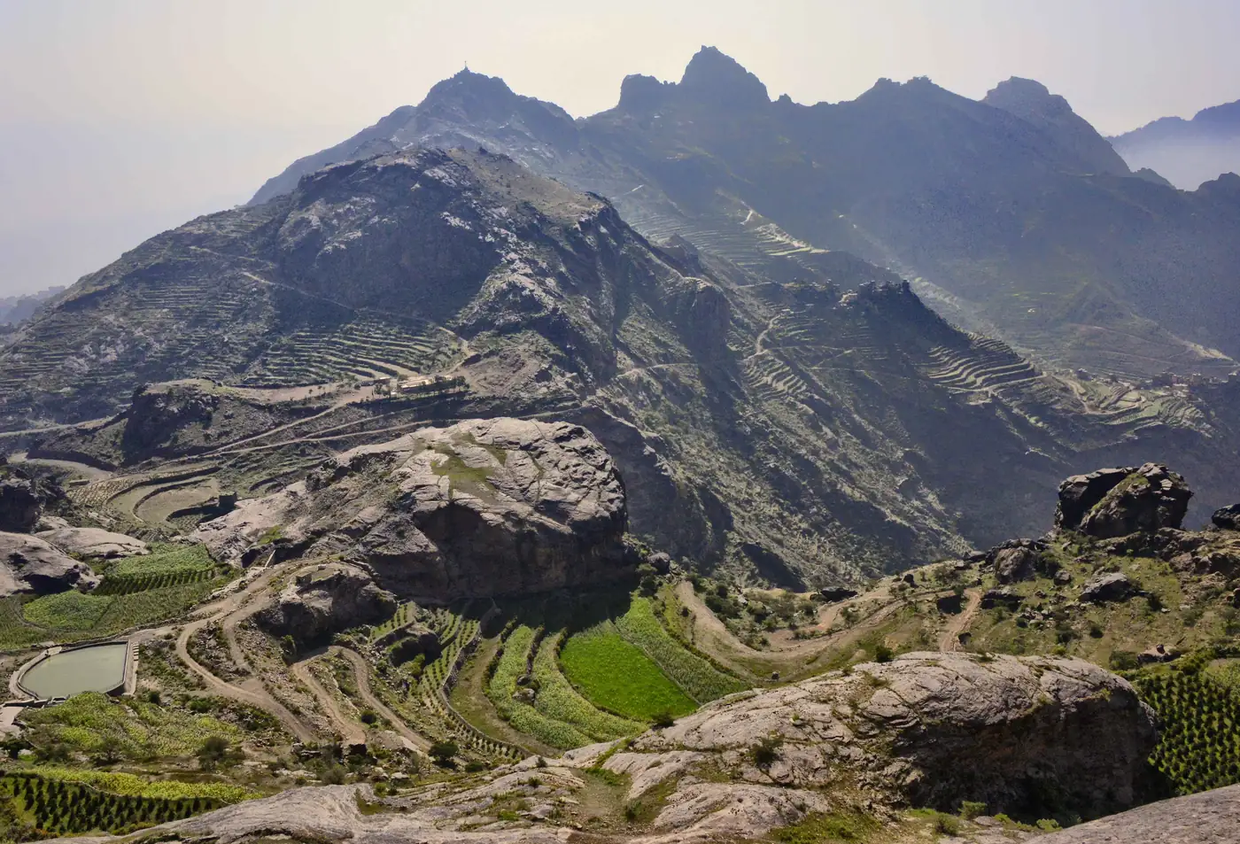 Coffee terraces in the Asir mountains