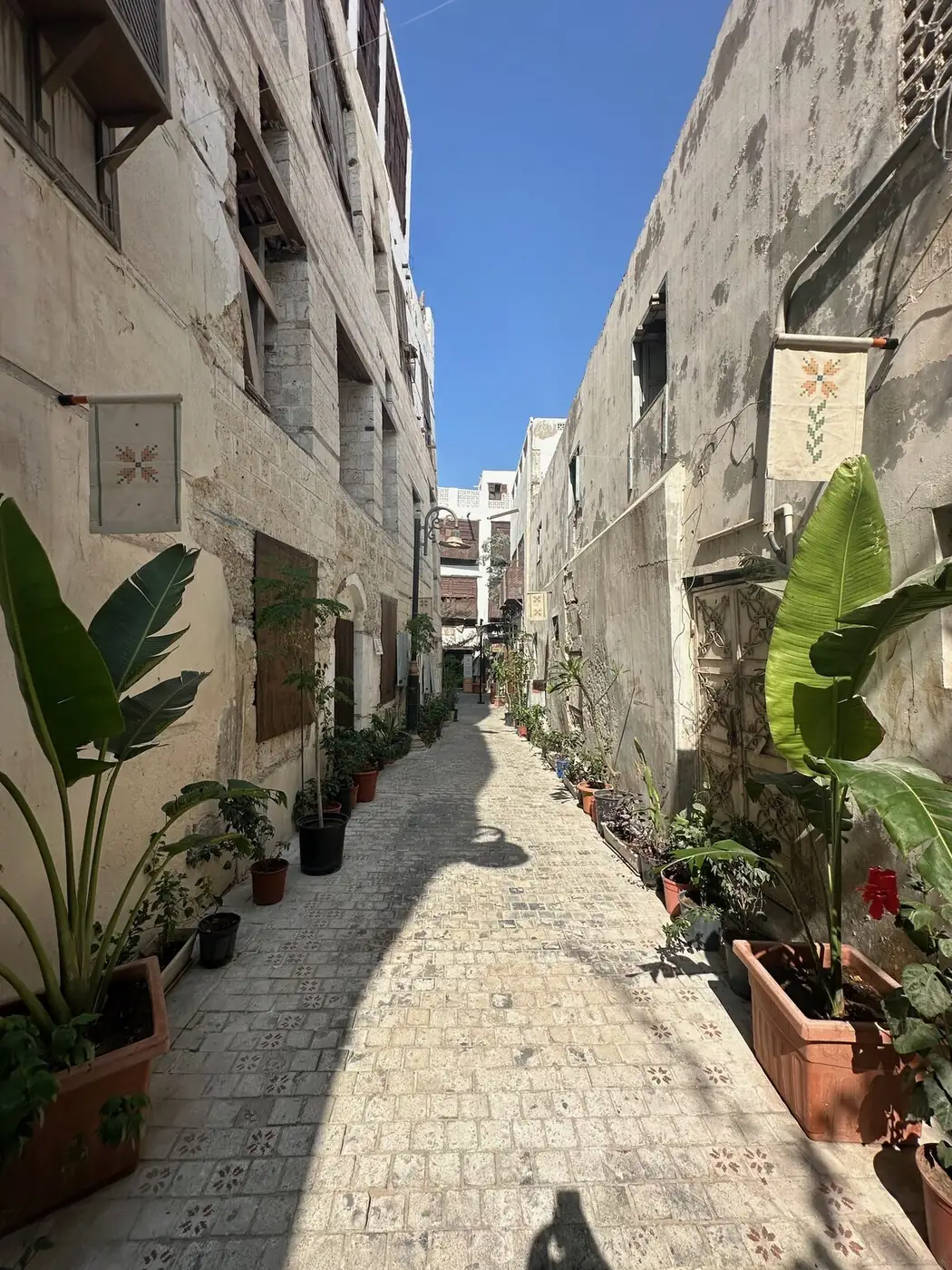 A quiet alleyway in Old Jeddah, Al-Balad — coral-stone houses and potted plants