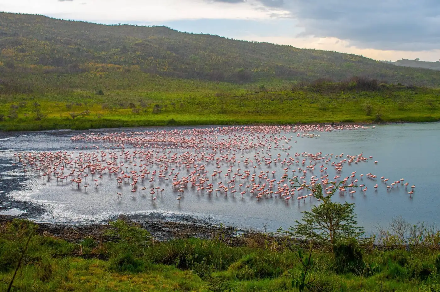 Momella Lake, Arusha National Park