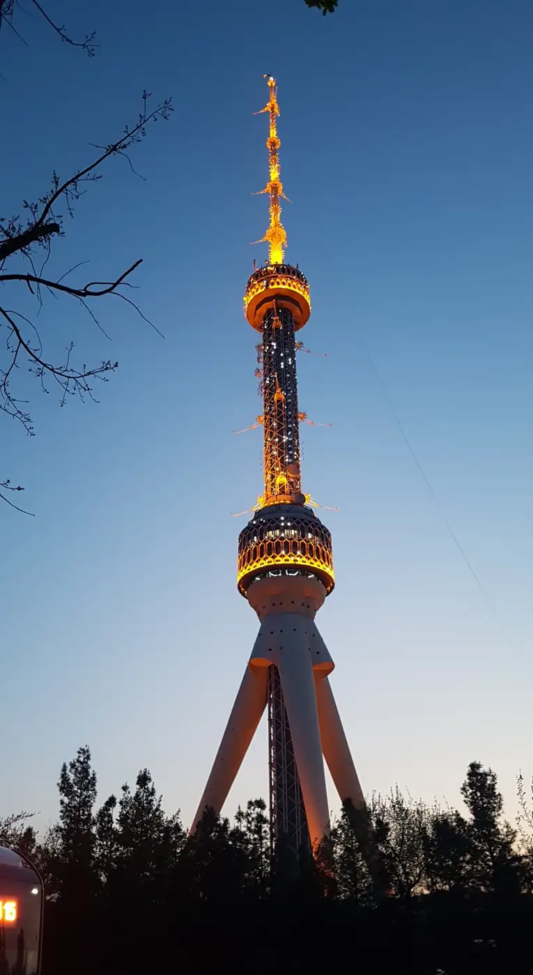 Tashkent TV Tower above the city